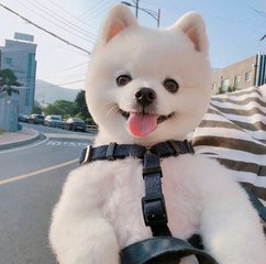 USDT钱包(Tether)钱包安卓版